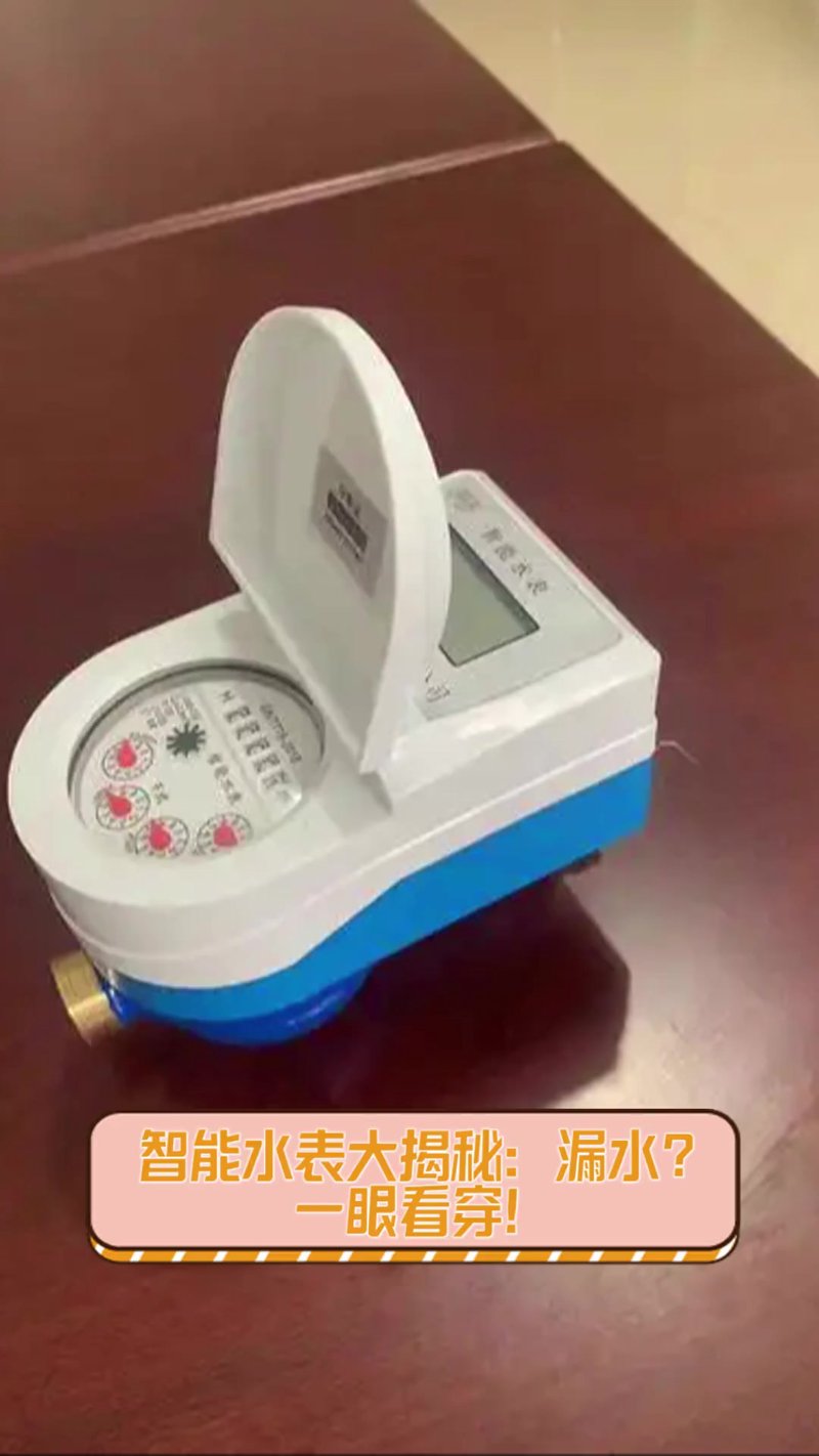 远程抄表会不会出错?这个问题让不少用水户心存疑虑。